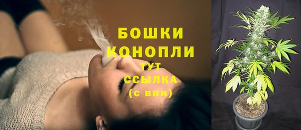 ПСИЛОЦИБИНОВЫЕ ГРИБЫ Абдулино