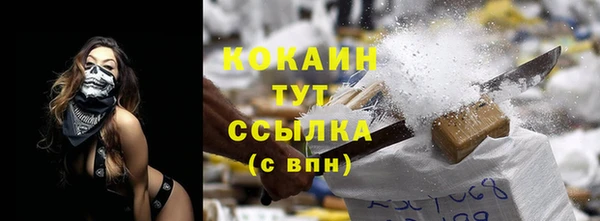 индика Покровск