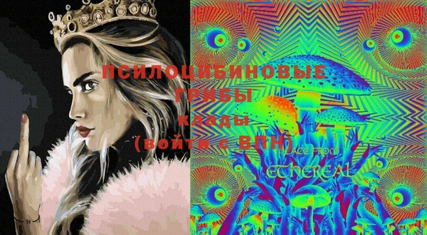 ПСИЛОЦИБИНОВЫЕ ГРИБЫ Абдулино